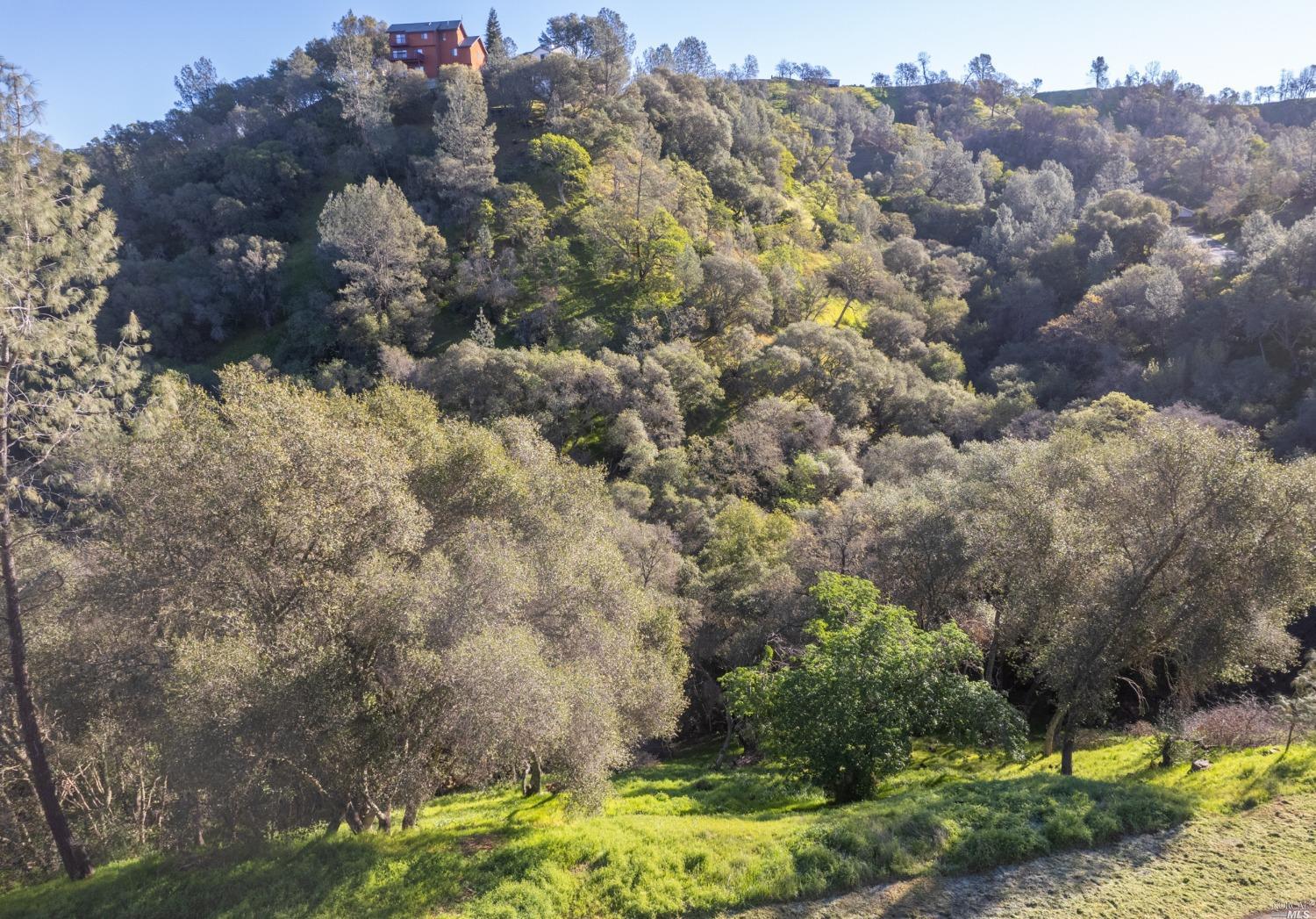 1121 Steele Canyon Rd