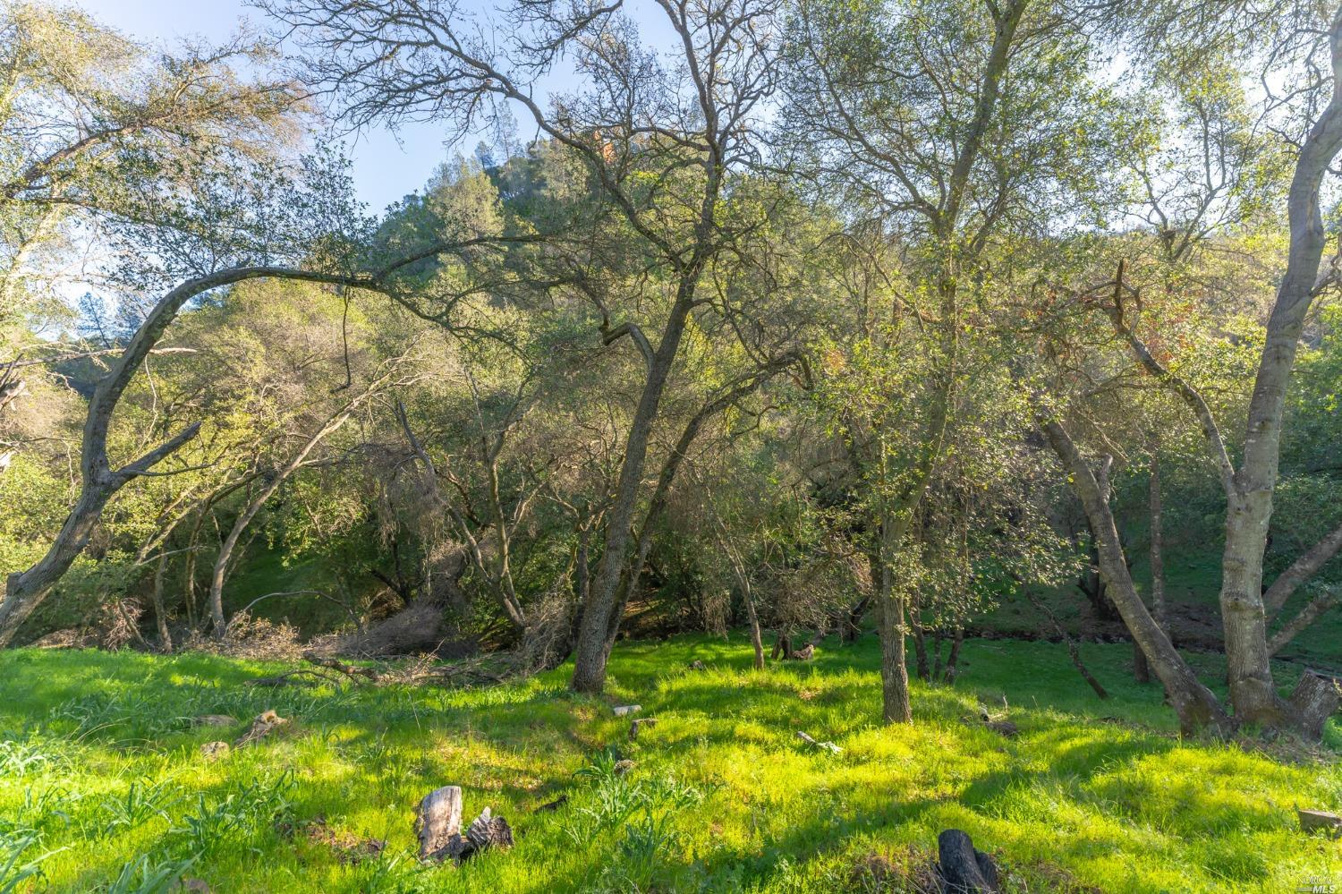 1121 Steele Canyon Rd