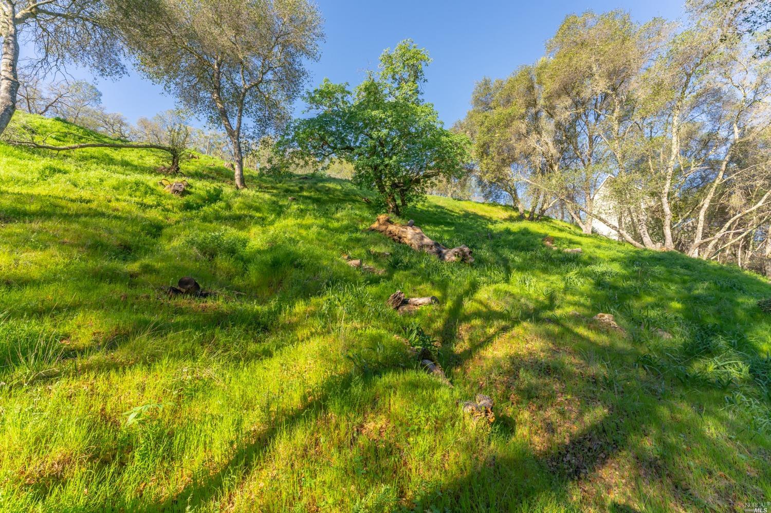 1121 Steele Canyon Rd