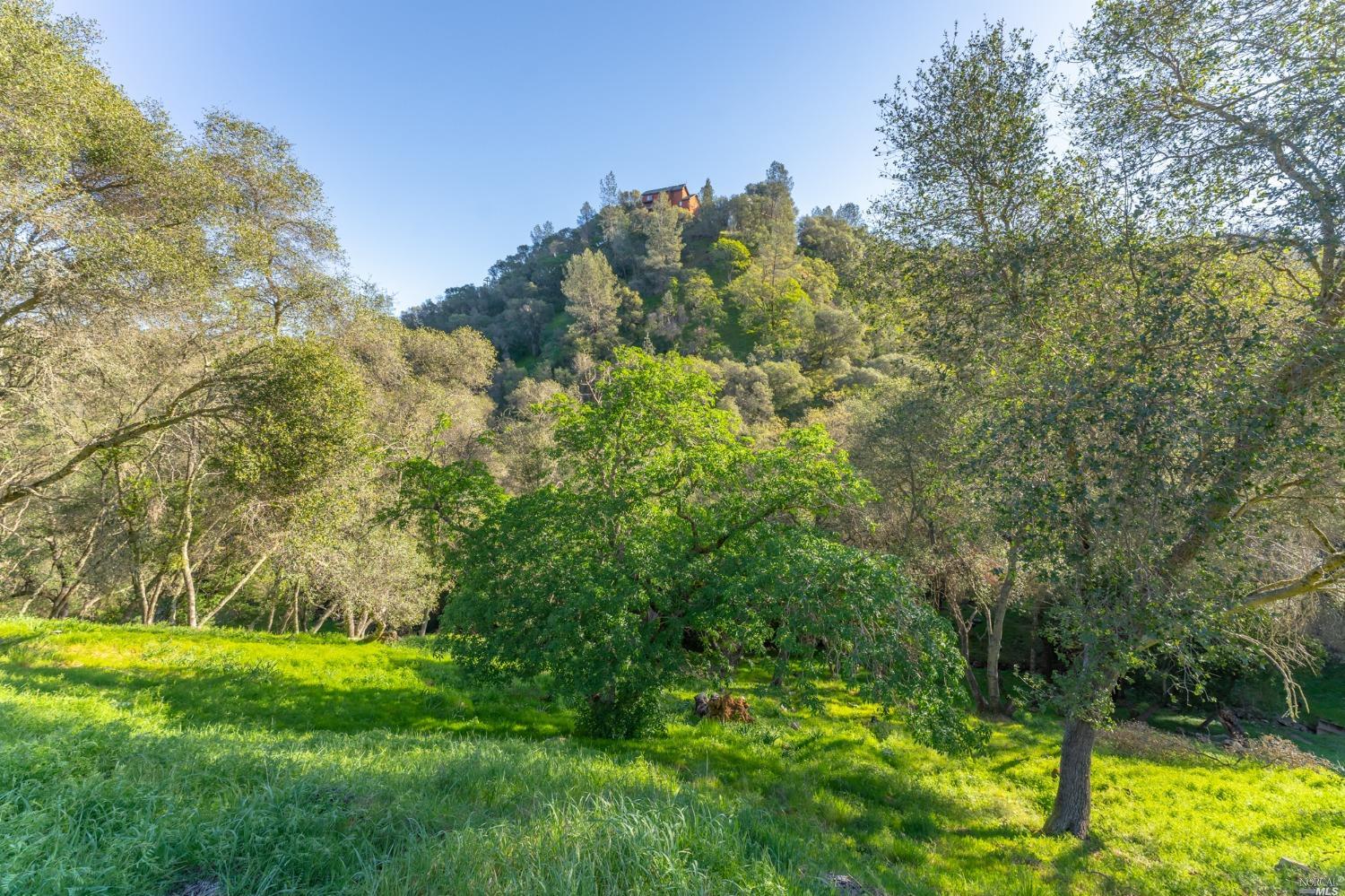 1121 Steele Canyon Rd