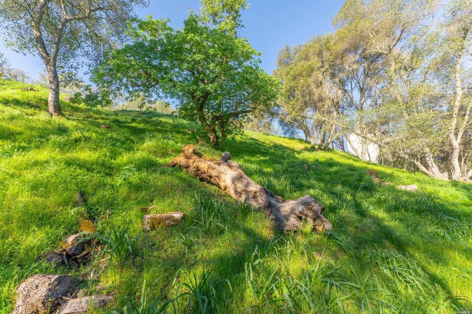 1121 Steele Canyon Rd