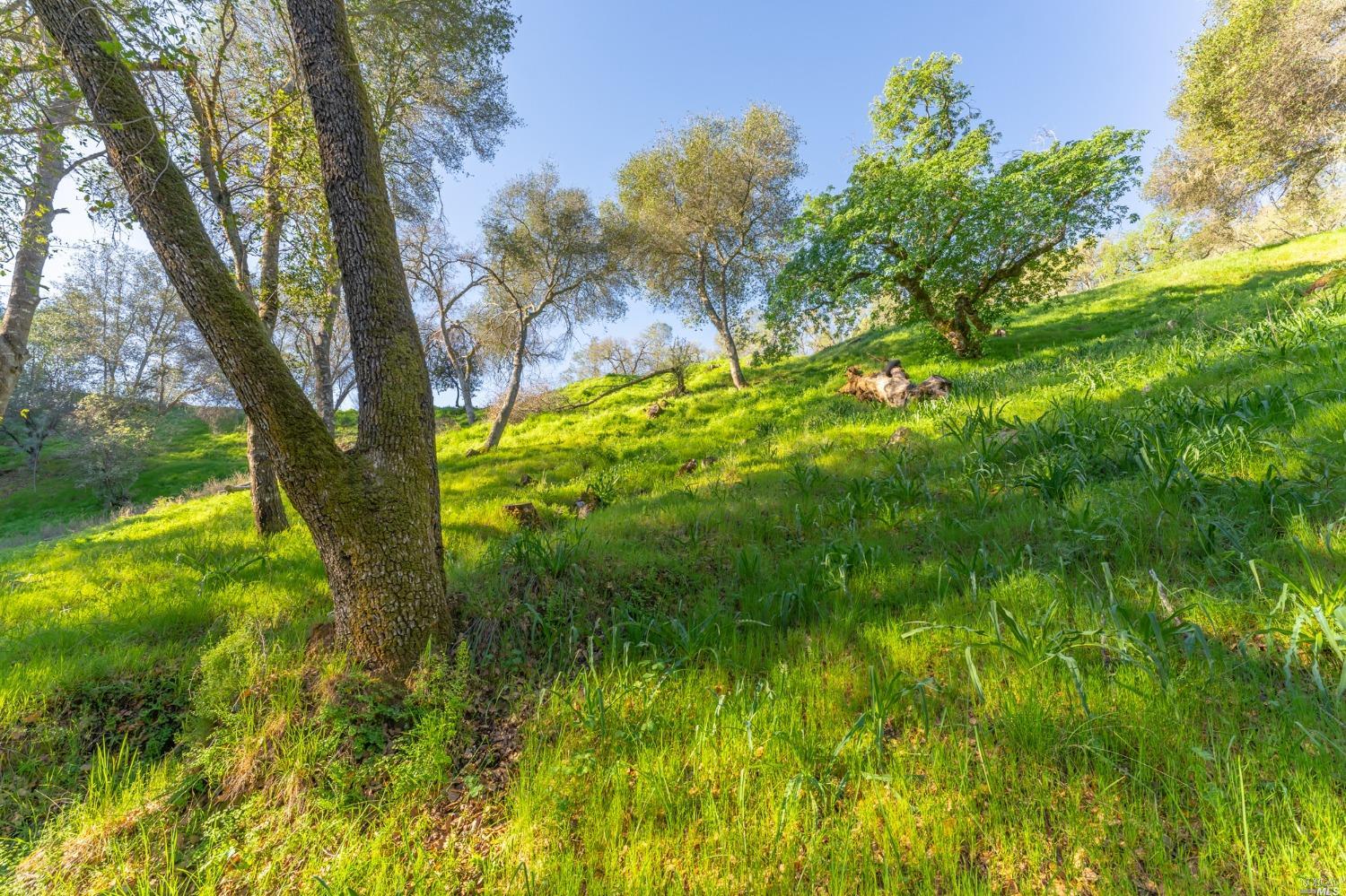 1121 Steele Canyon Rd