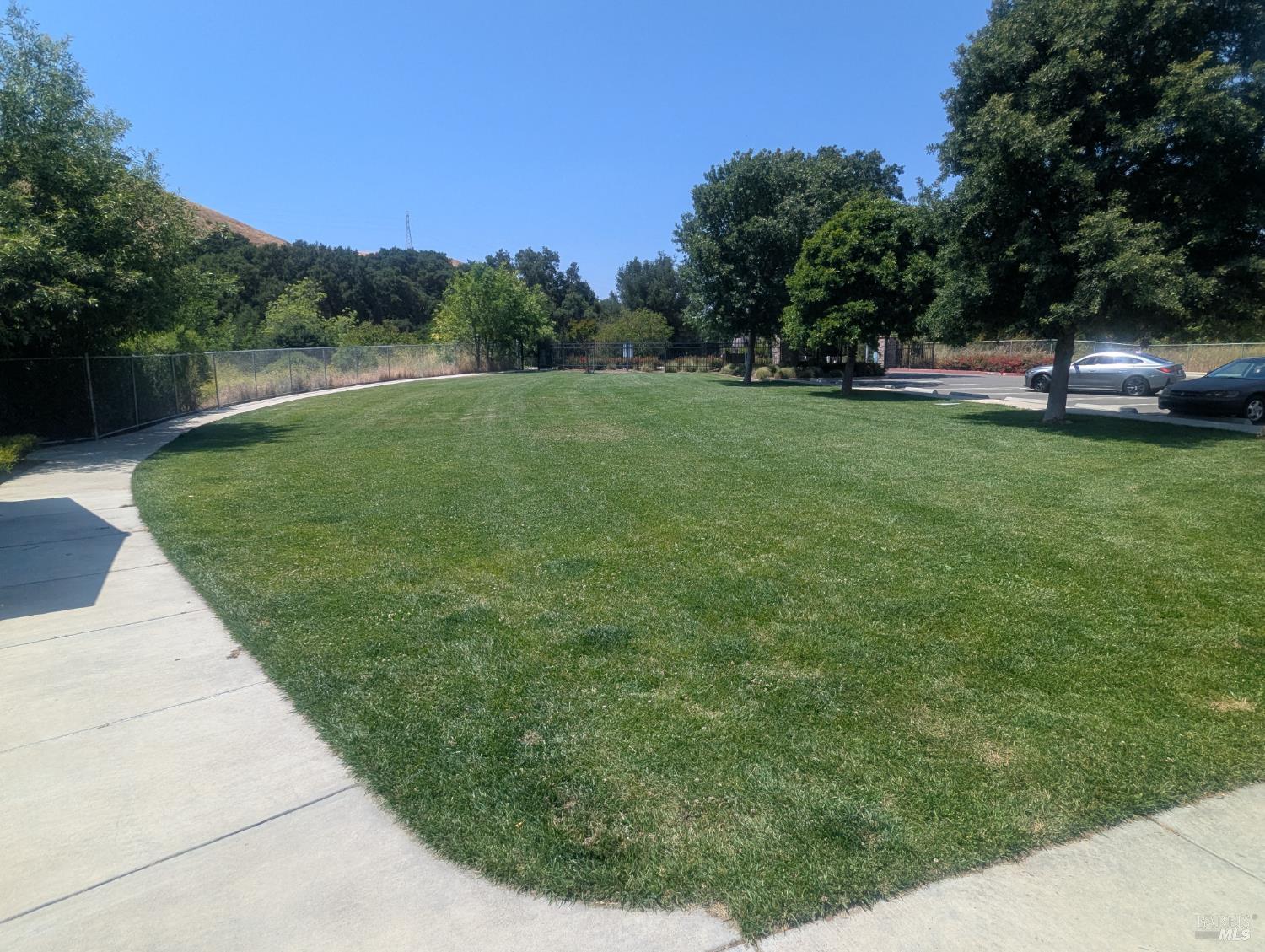 6597 Deerfield Drive