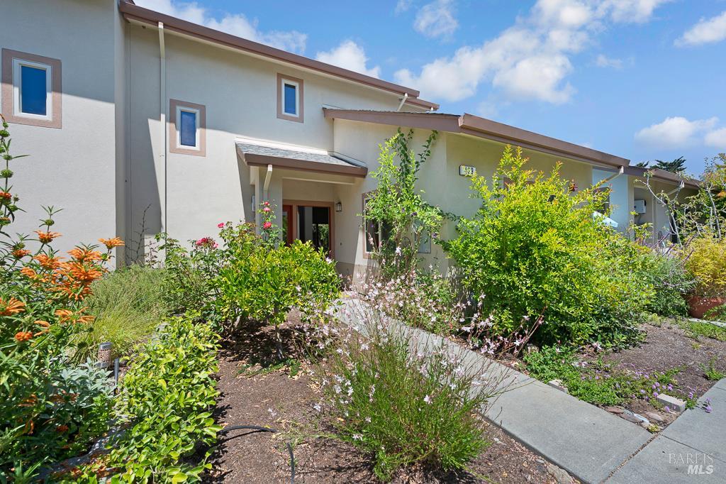 439 Sequoia Ln