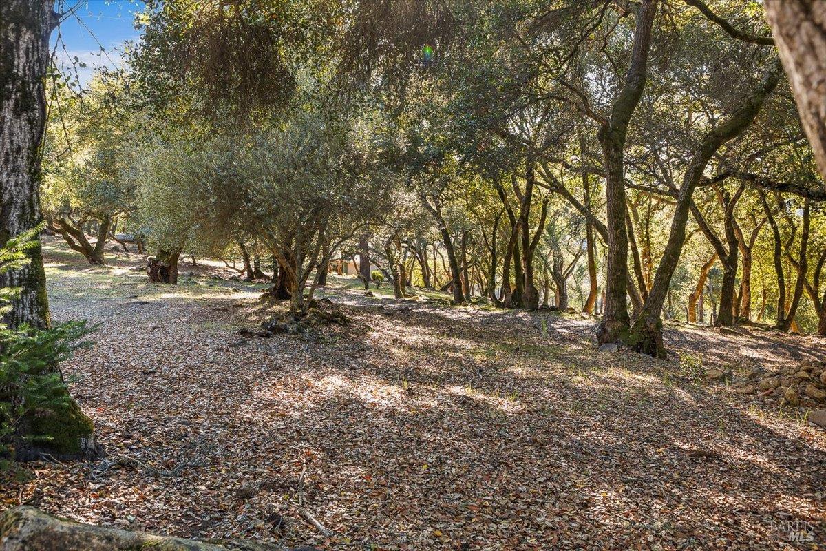 7061 Bennett Valley Rd