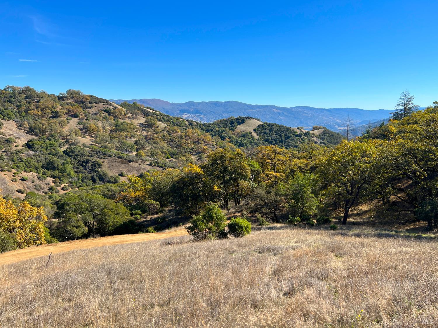 5290 Butler Ranch Road