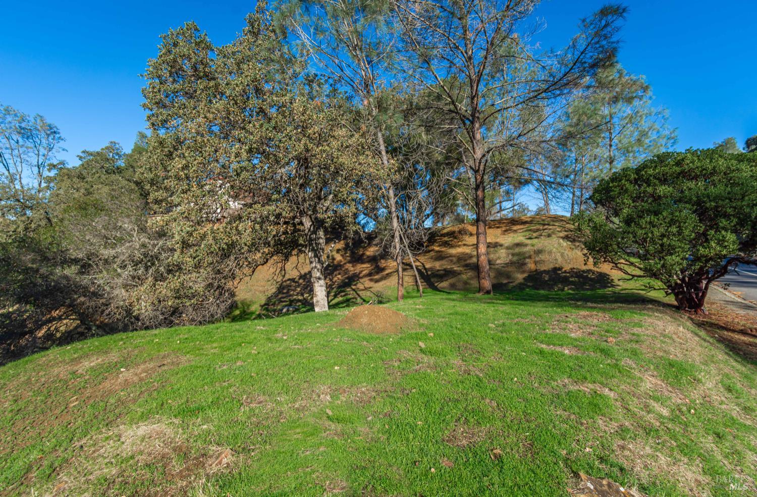 1155 Steele Canyon Road