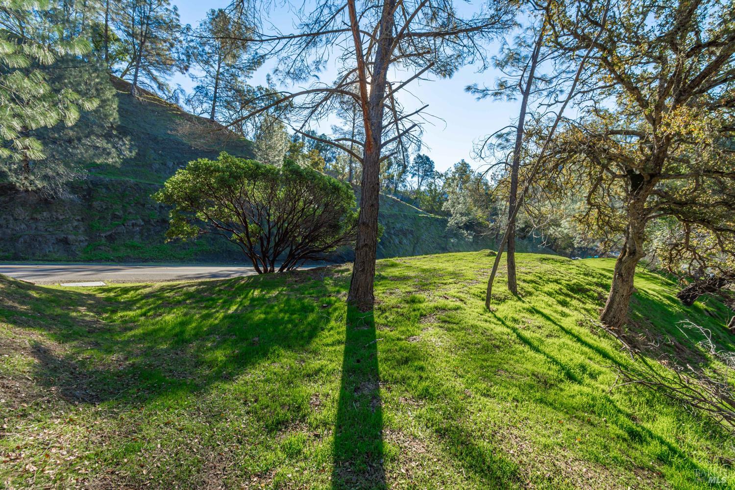 1155 Steele Canyon Road