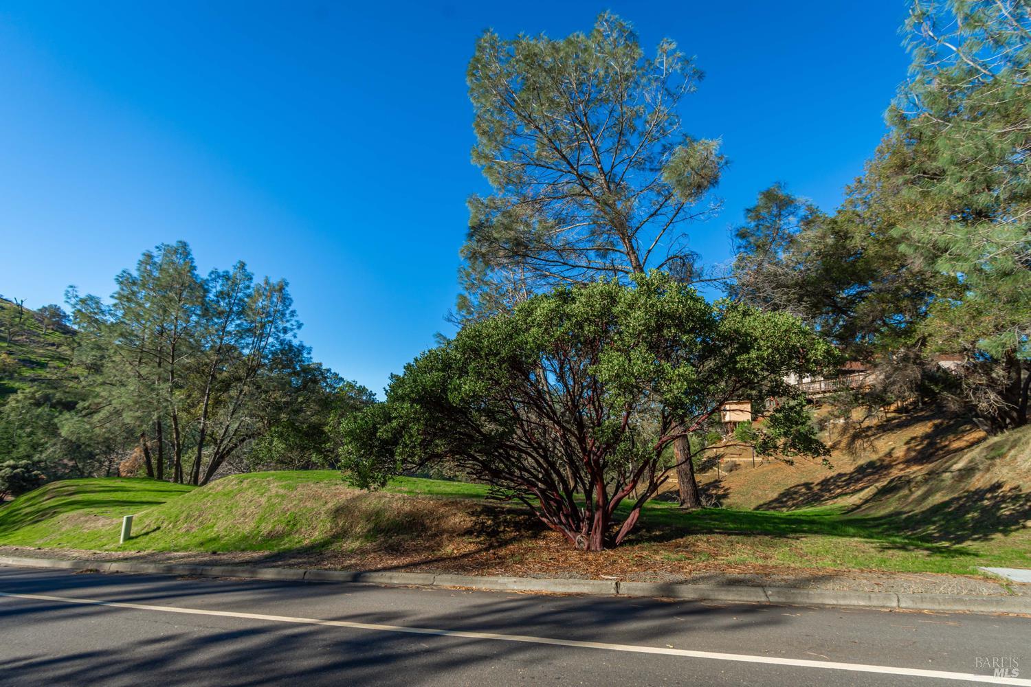 1155 Steele Canyon Road