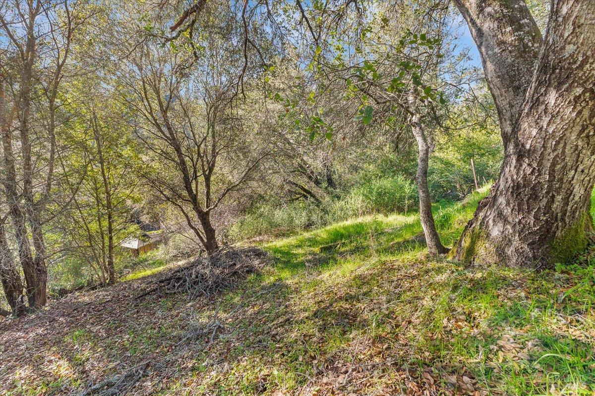 10650 Woodside Drive