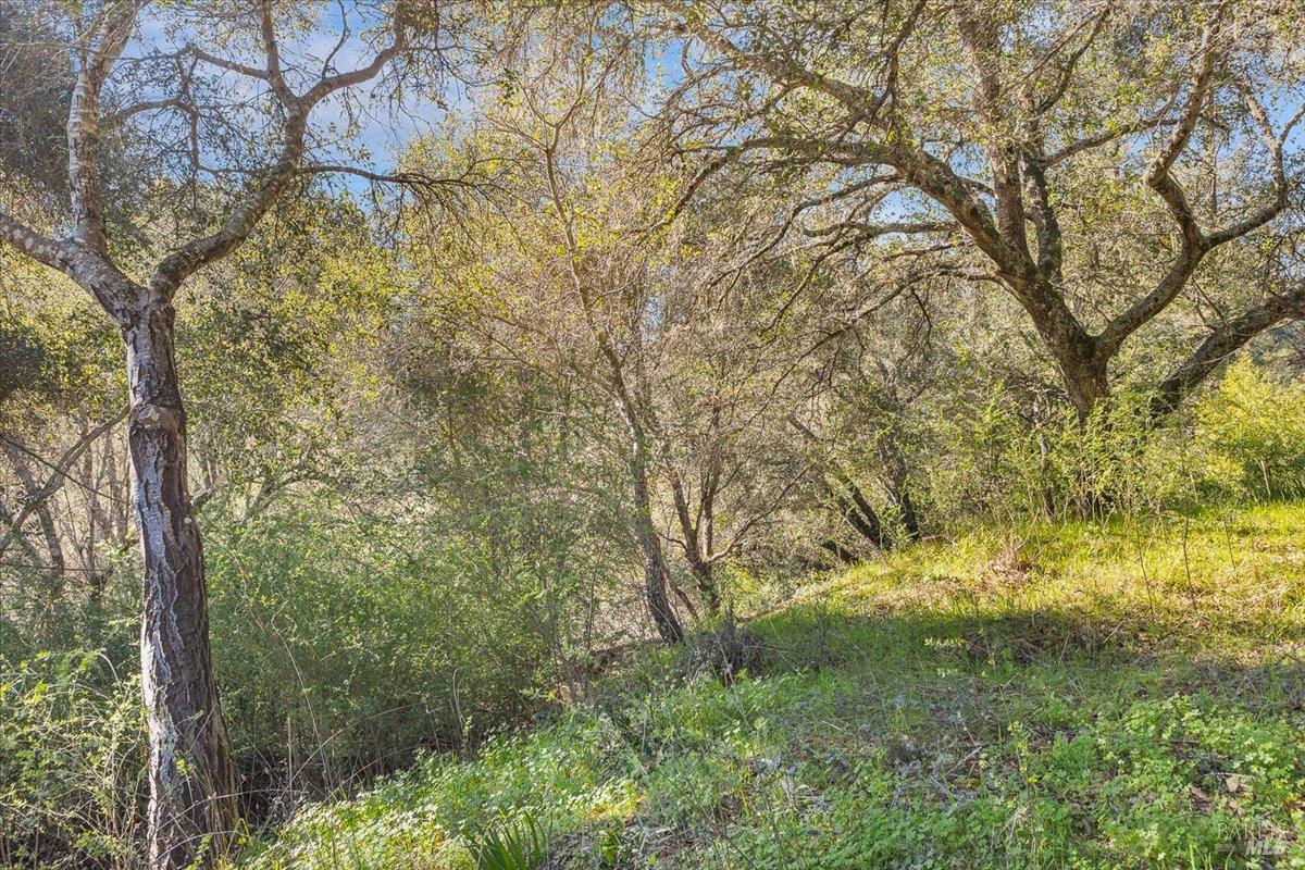 10650 Woodside Drive