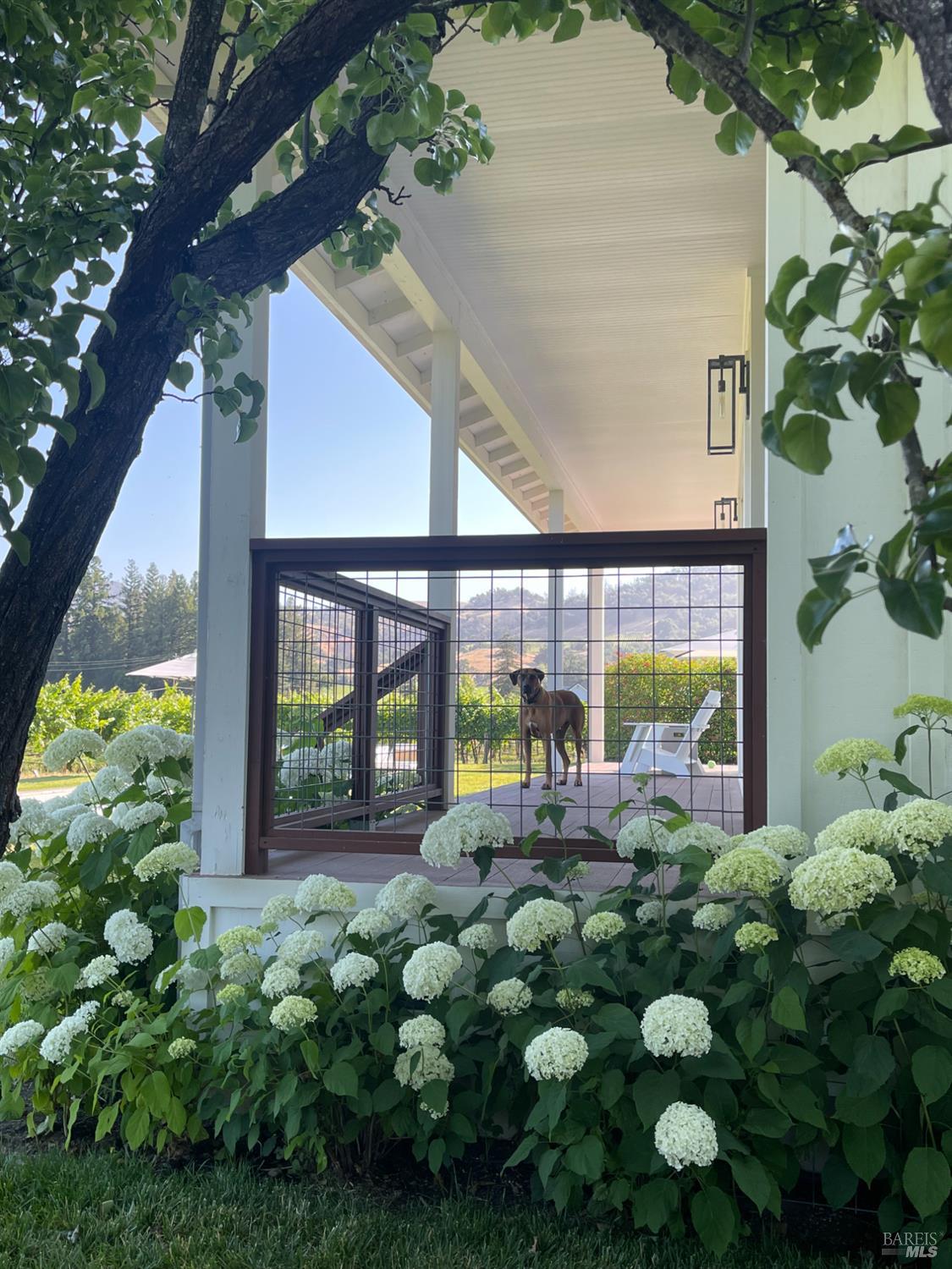 6476 Red Winery Road