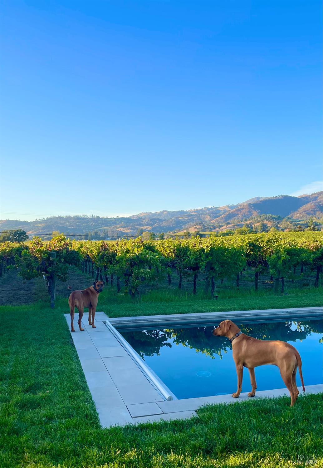 6476 Red Winery Road