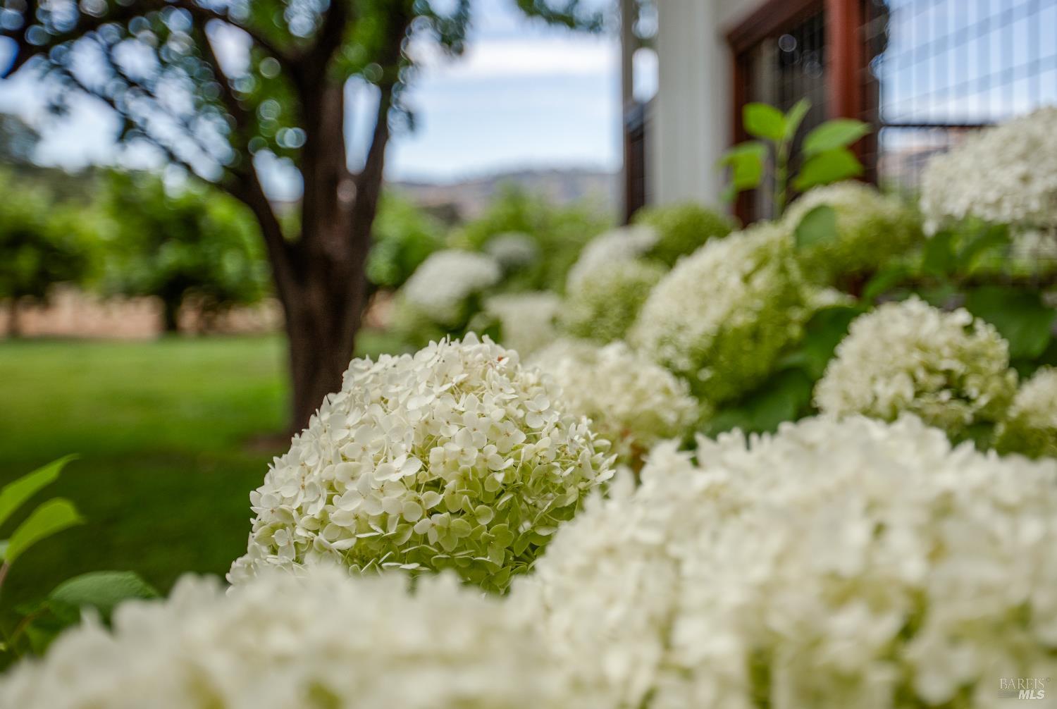 6476 Red Winery Road