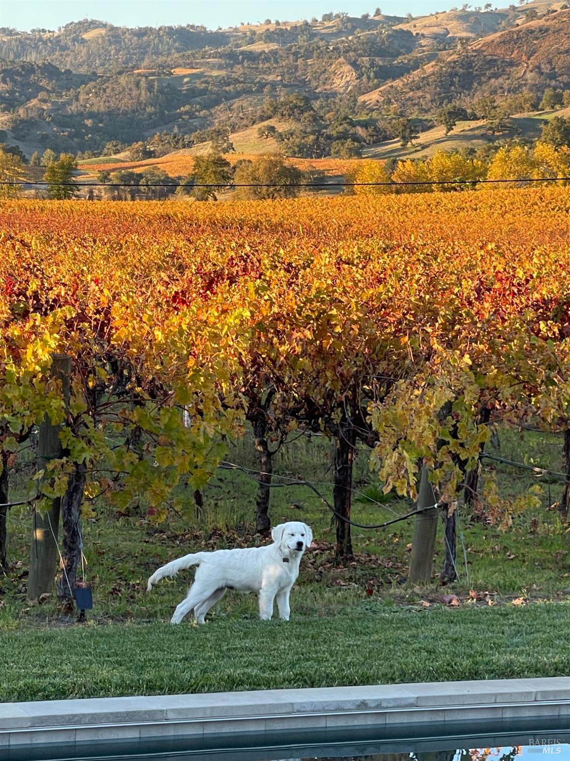 6476 Red Winery Road