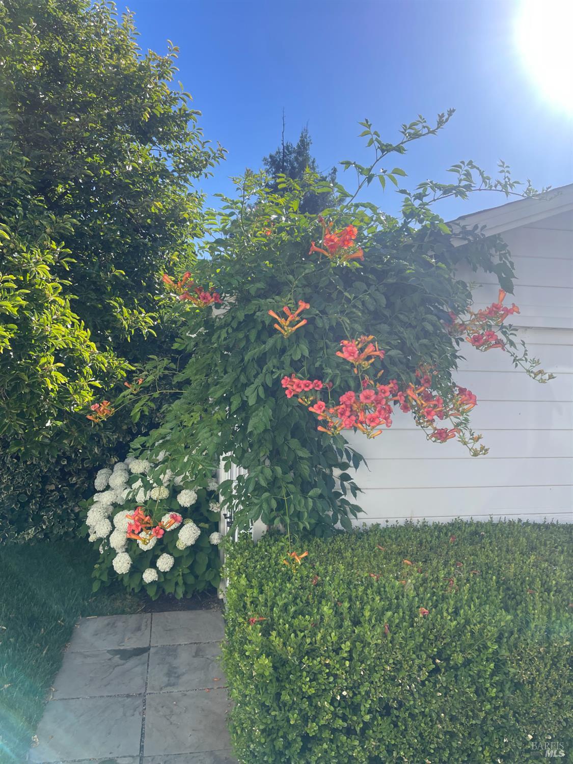 6476 Red Winery Road