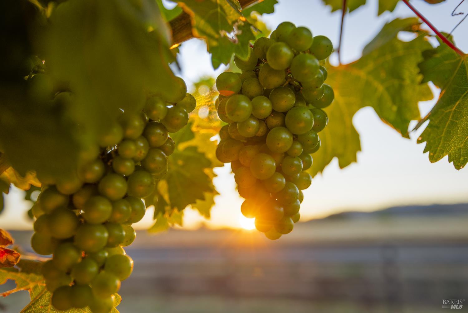 6476 Red Winery Road