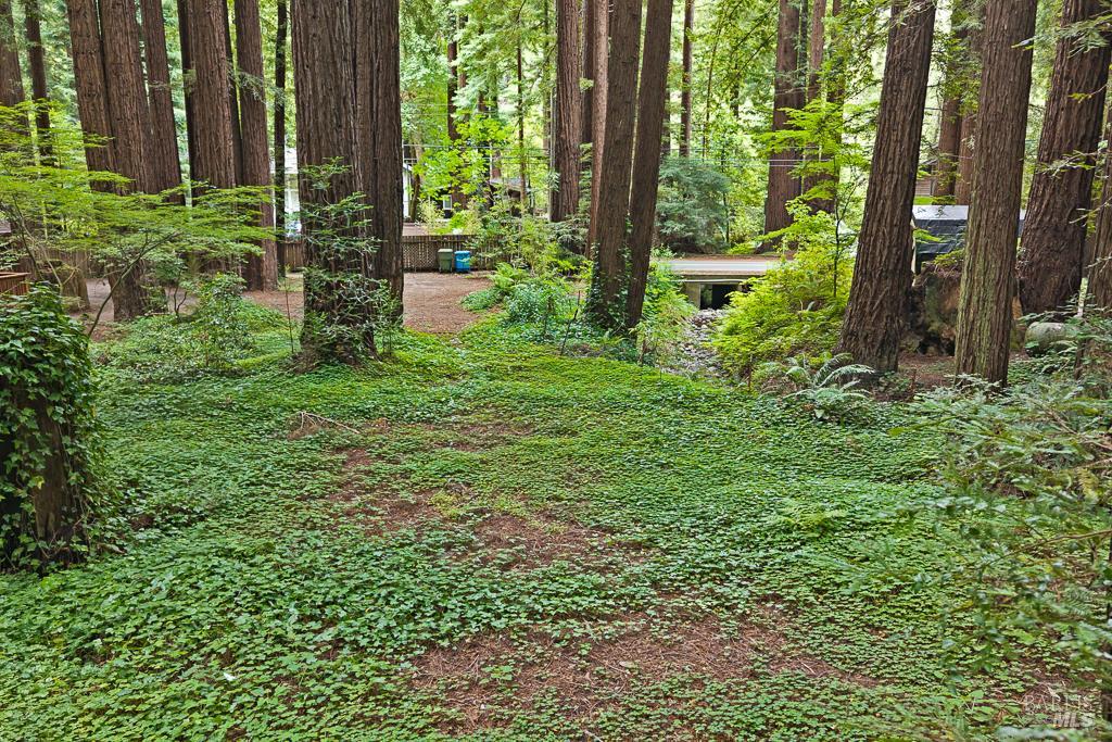 2305 Cazadero Highway