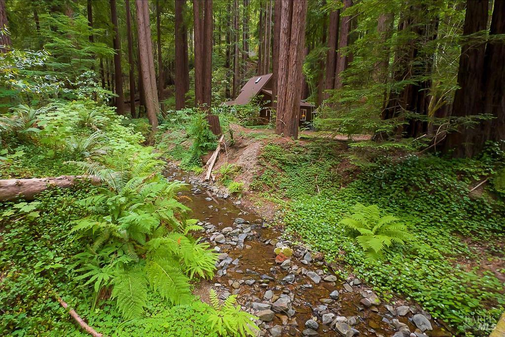 2305 Cazadero Highway