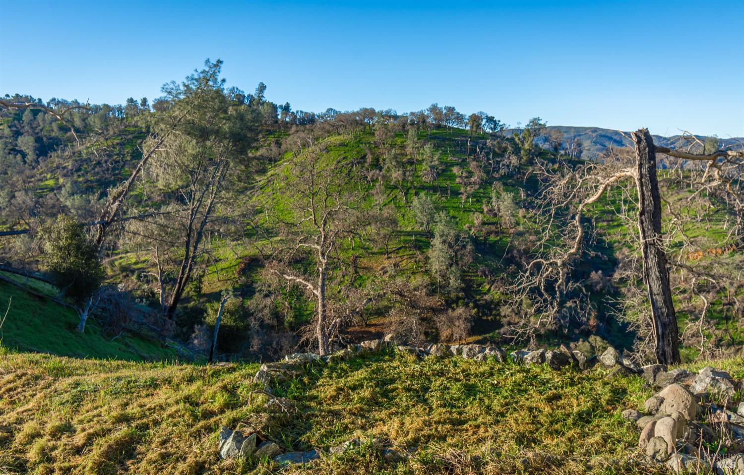 1131 Headlands Drive