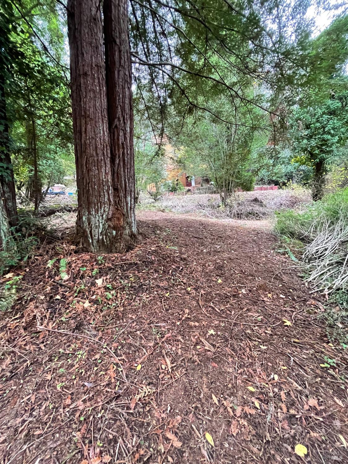 136 Lagunitas Road