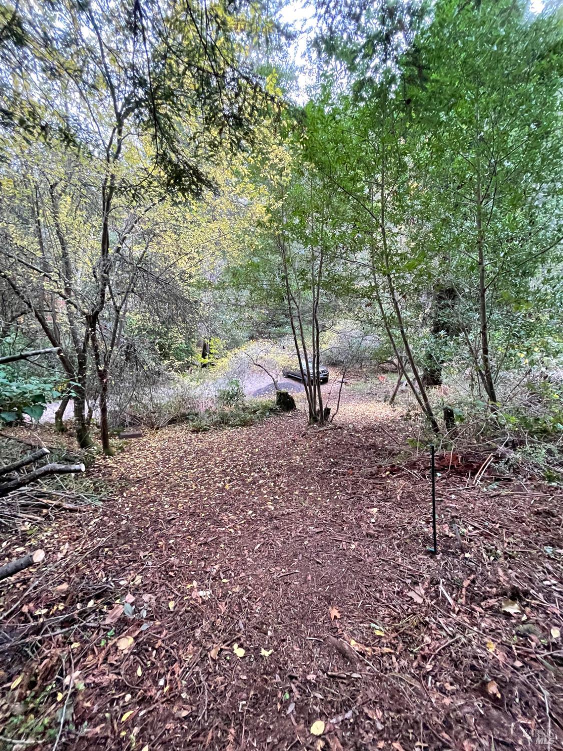 136 Lagunitas Road