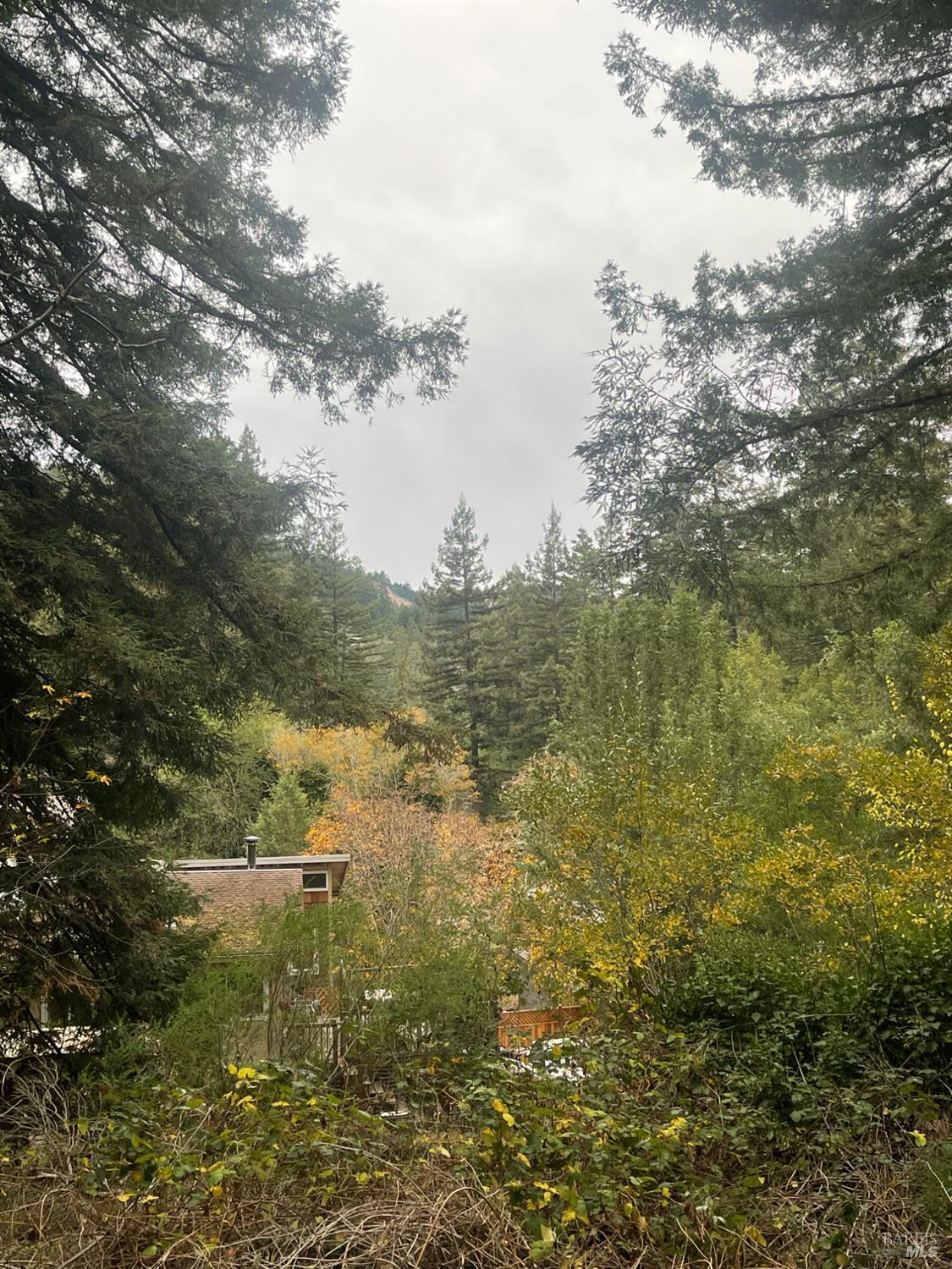 136 Lagunitas Road