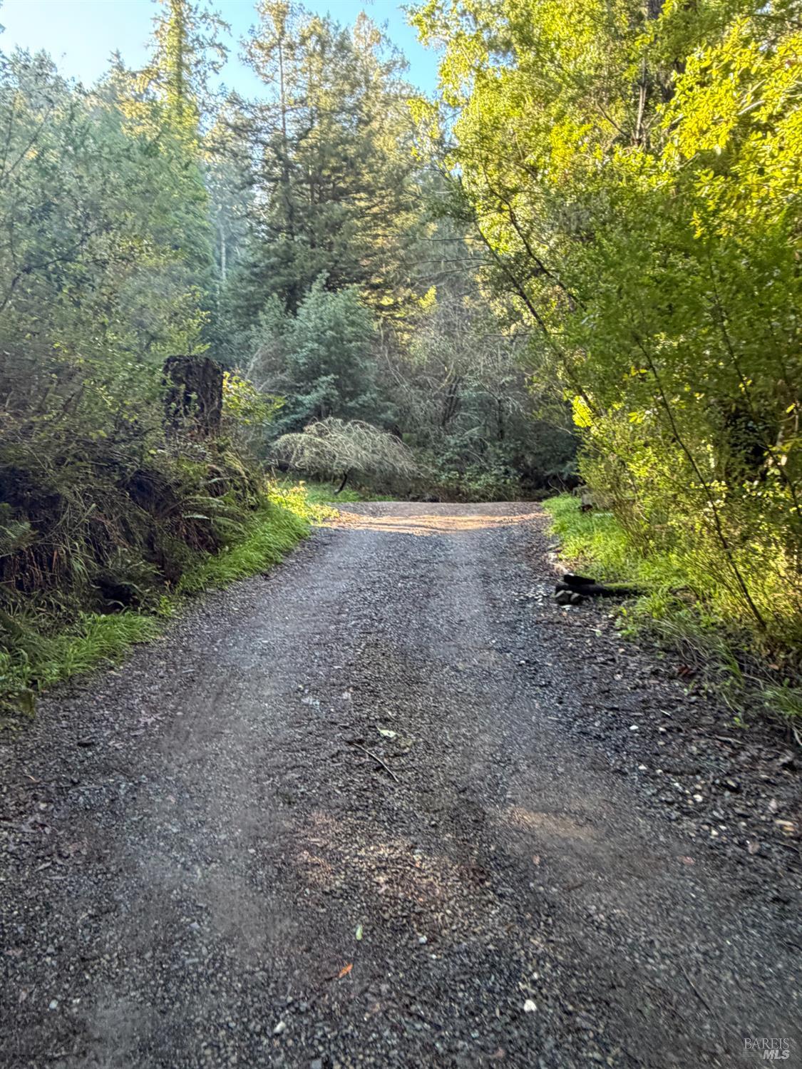 136 Lagunitas Road