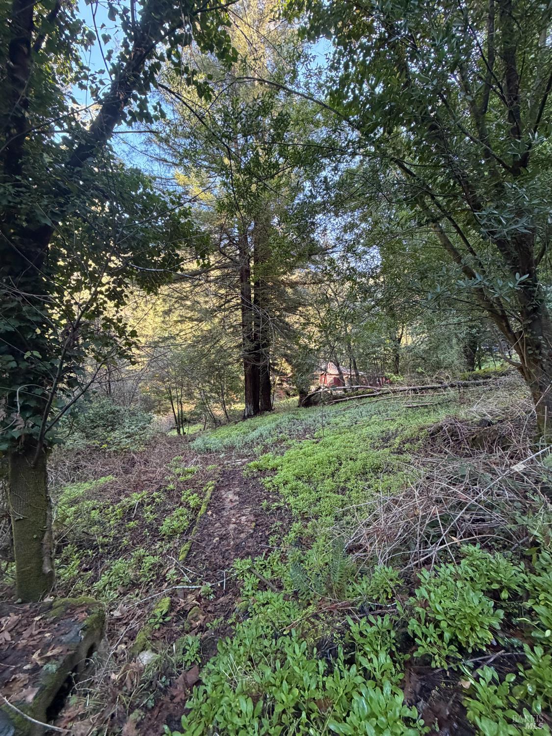 136 Lagunitas Road
