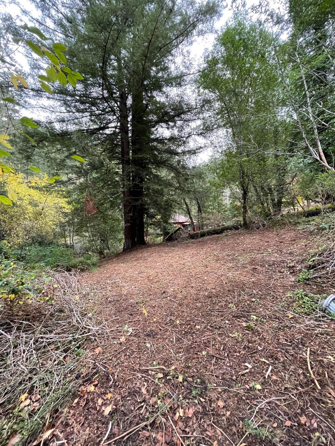 136 Lagunitas Road