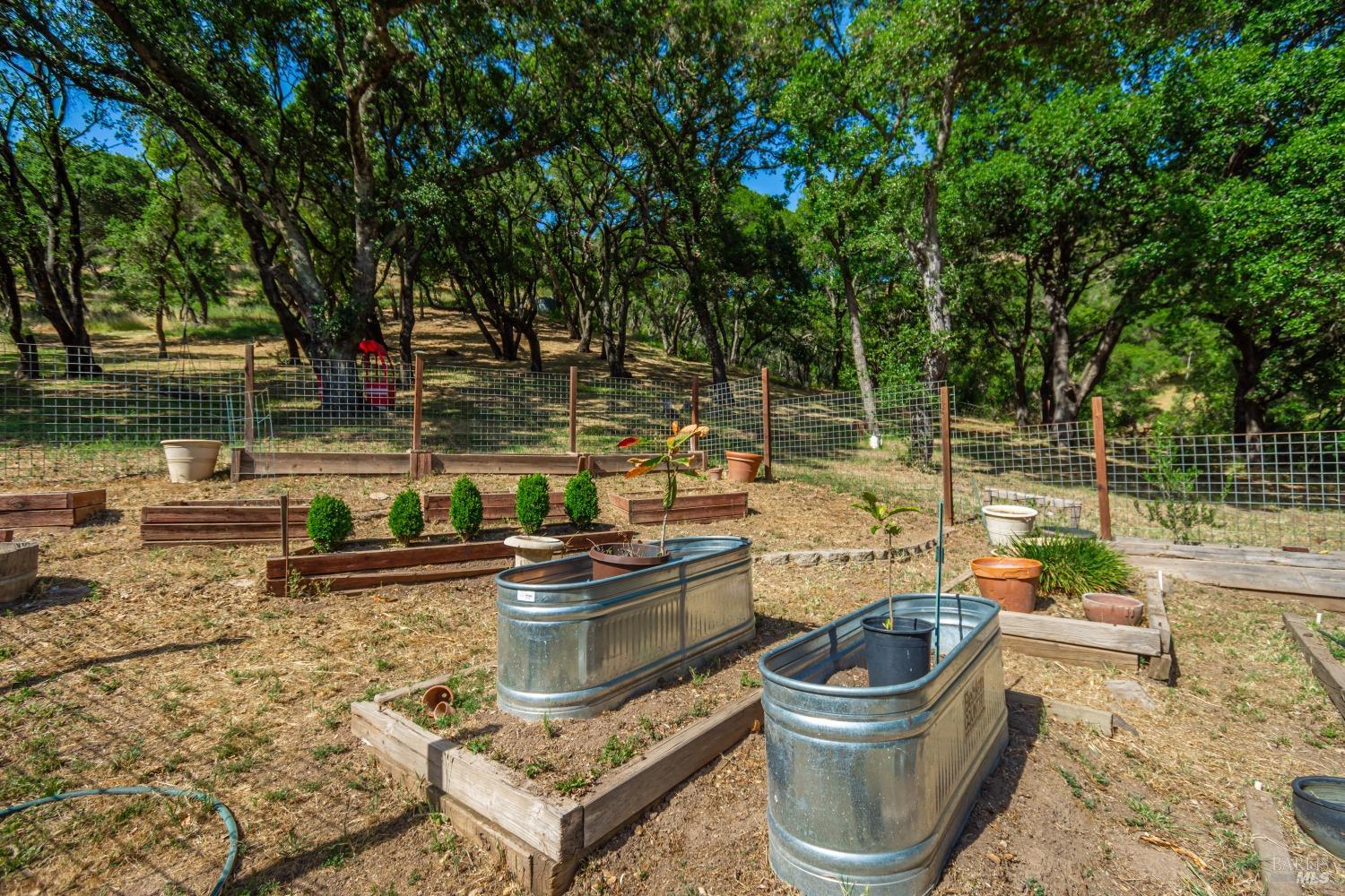 1114 Mount George Avenue