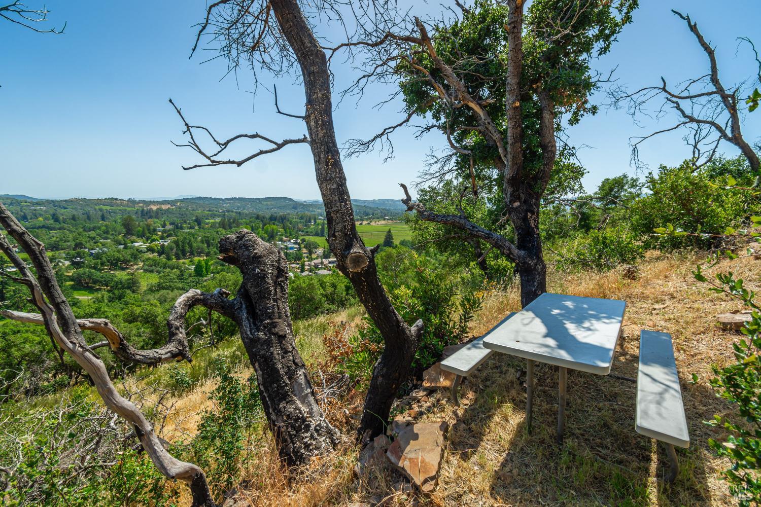 1114 Mount George Avenue