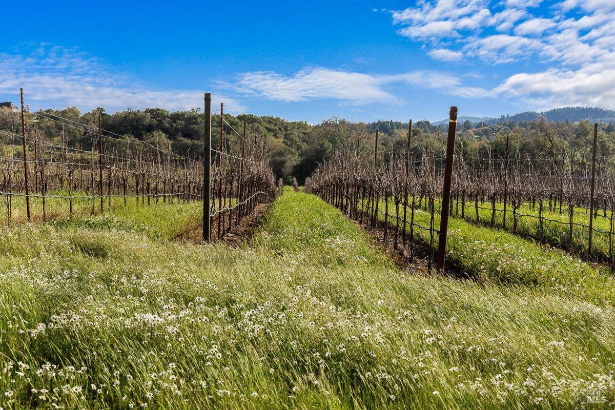 920 Lytton Springs Road