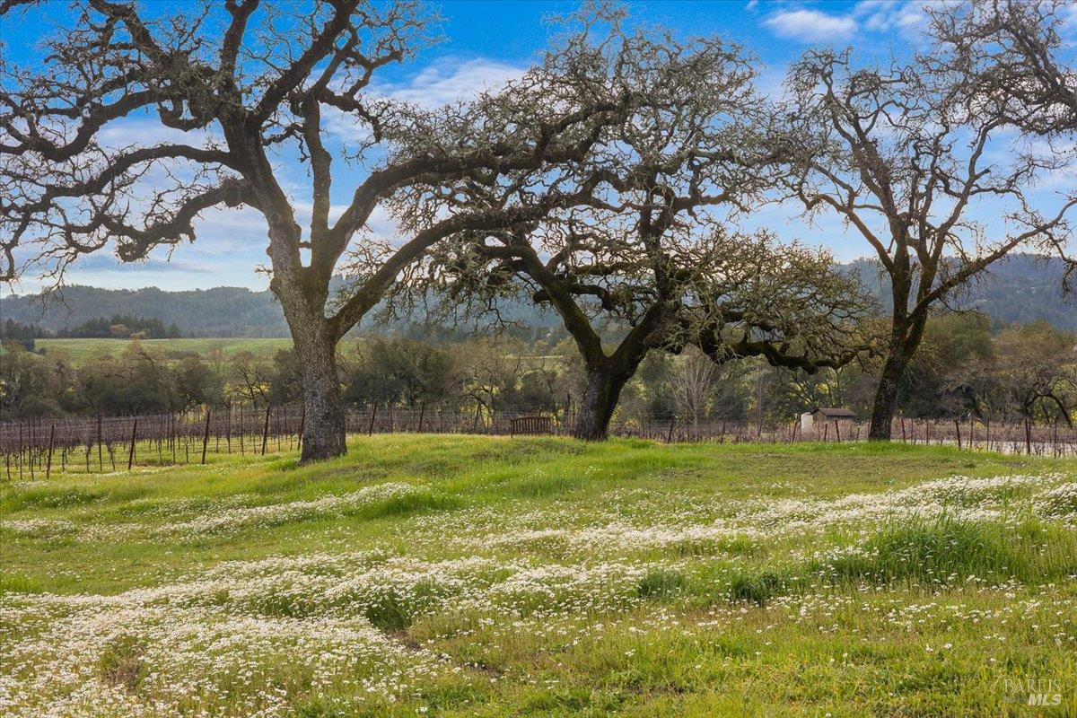 920 Lytton Springs Road