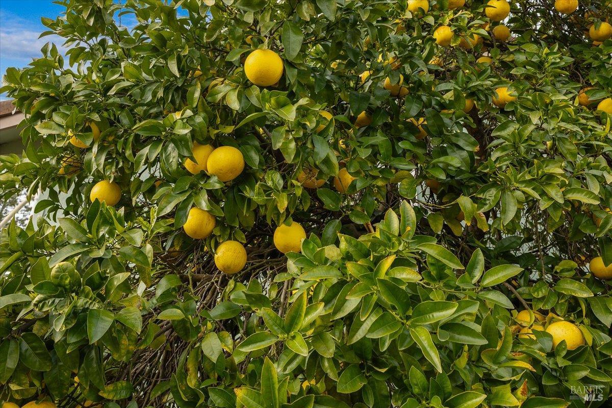 920 Lytton Springs Road