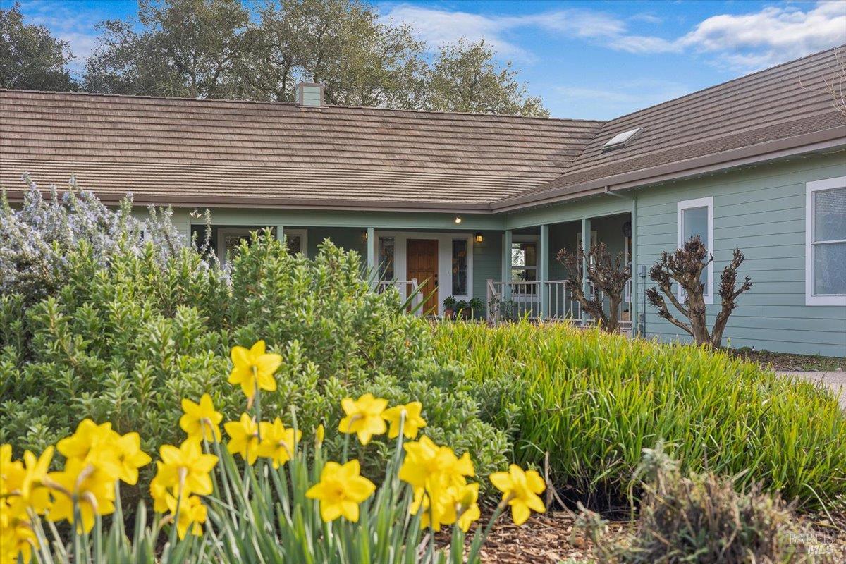 920 Lytton Springs Road