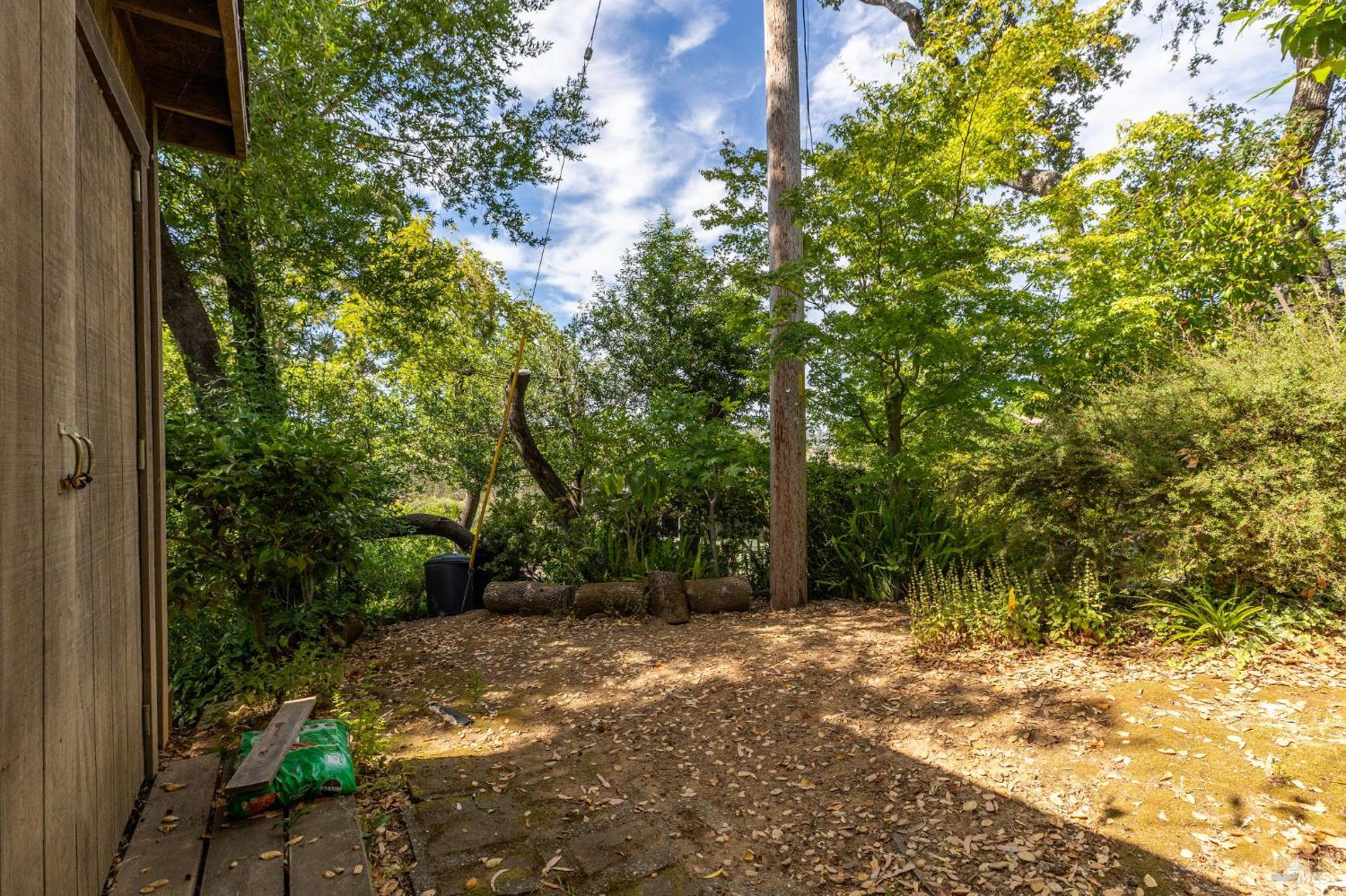 569 Sequoia Drive