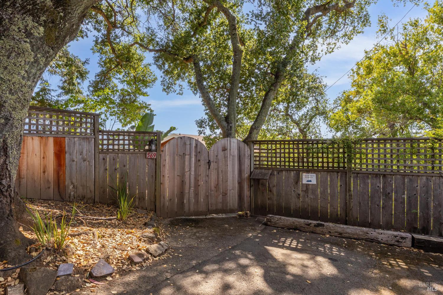 569 Sequoia Drive