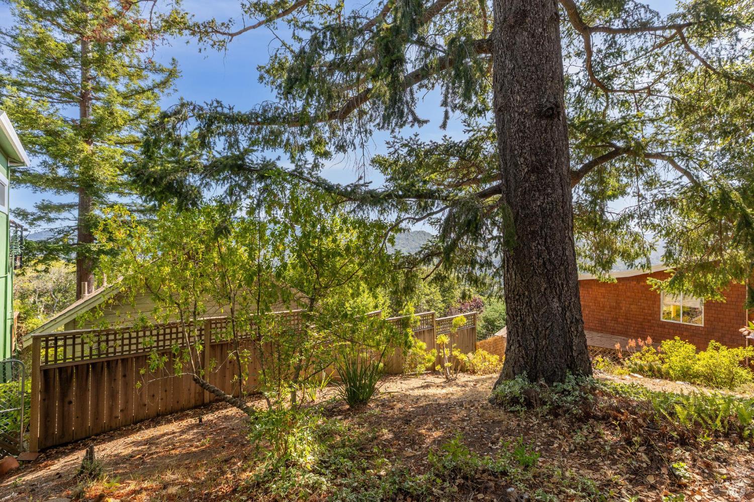 569 Sequoia Drive