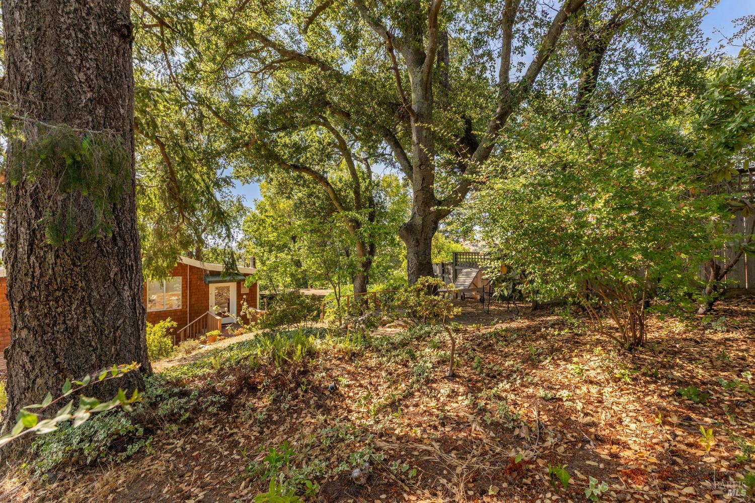 569 Sequoia Drive