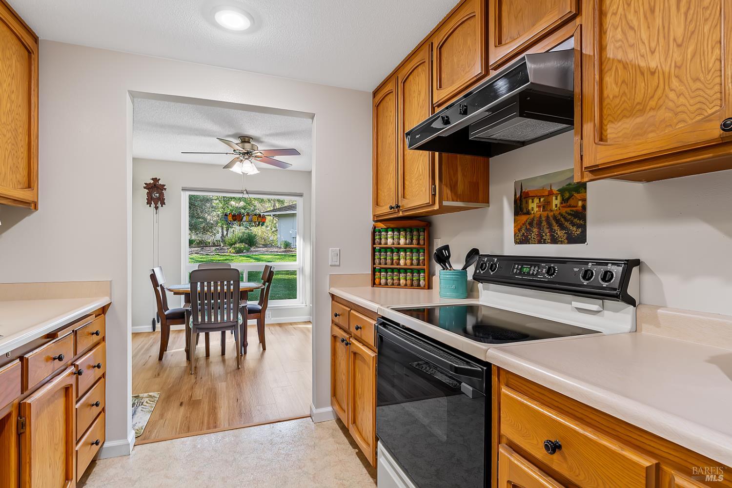 497 Oak Vista Place