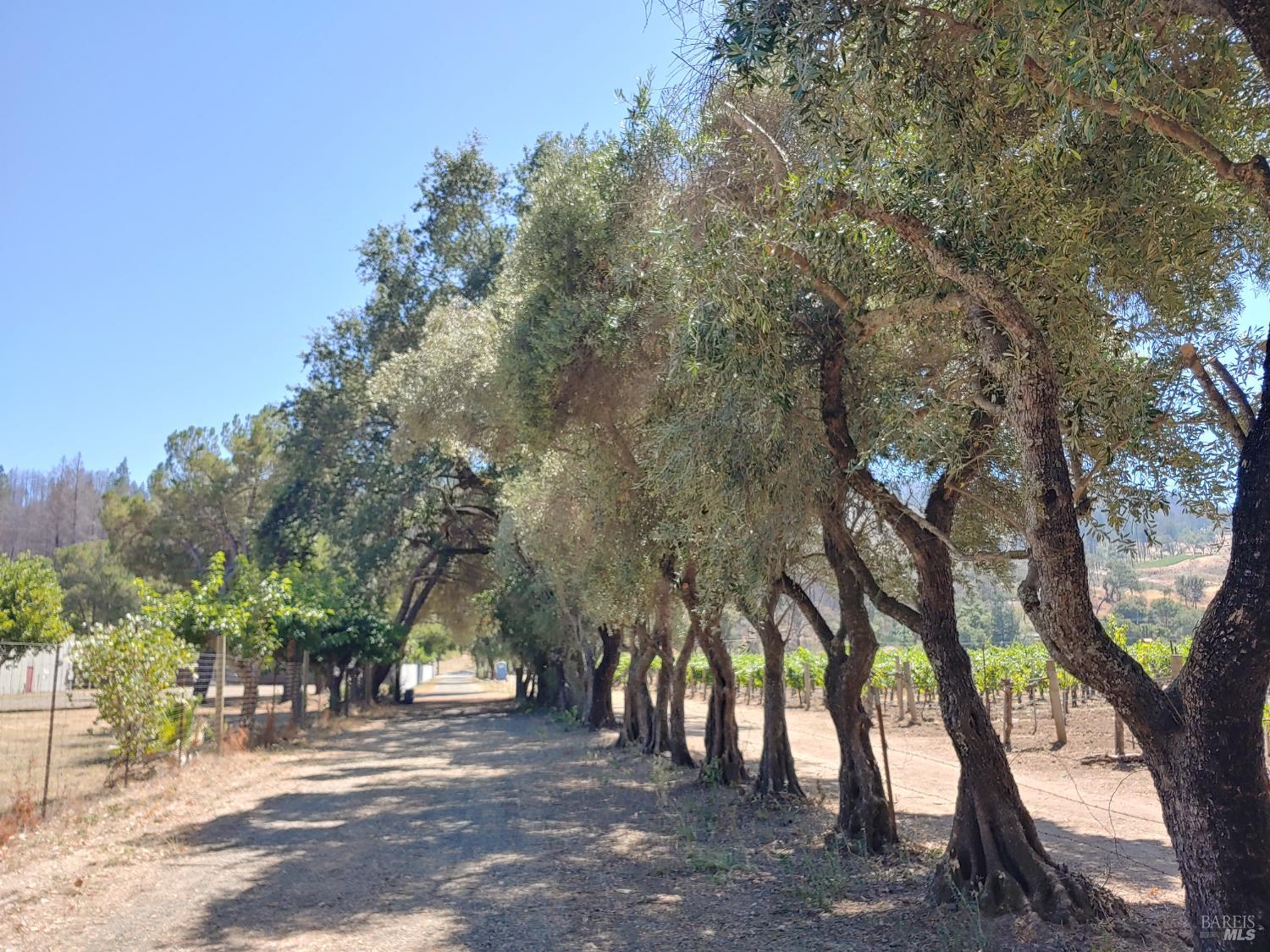 4104 St. Helena Highway