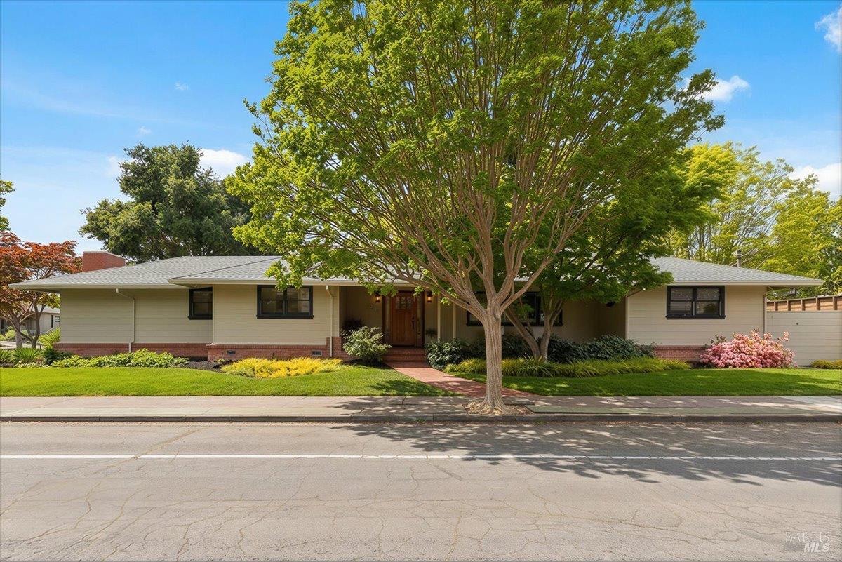 205 Alderbrook Drive