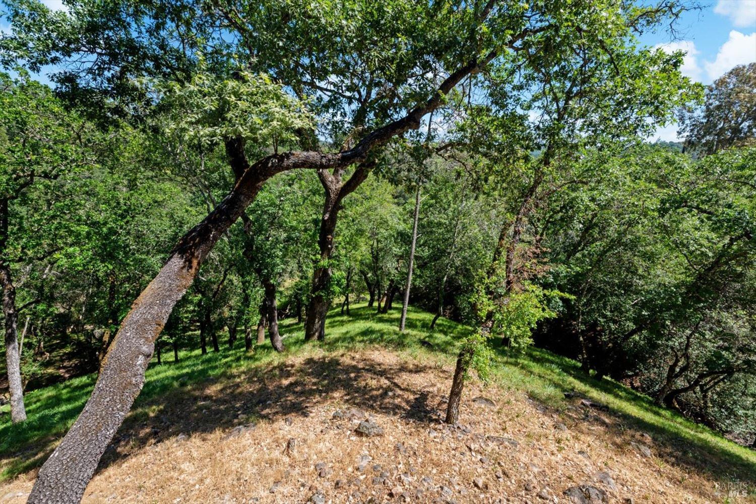 258 Circle Oaks Drive