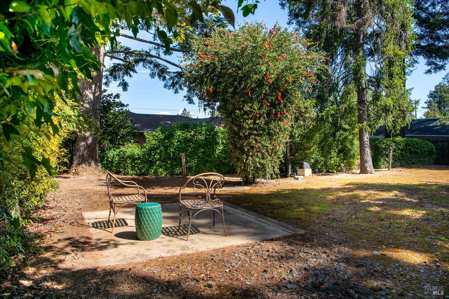 7949 Tocchini Street
