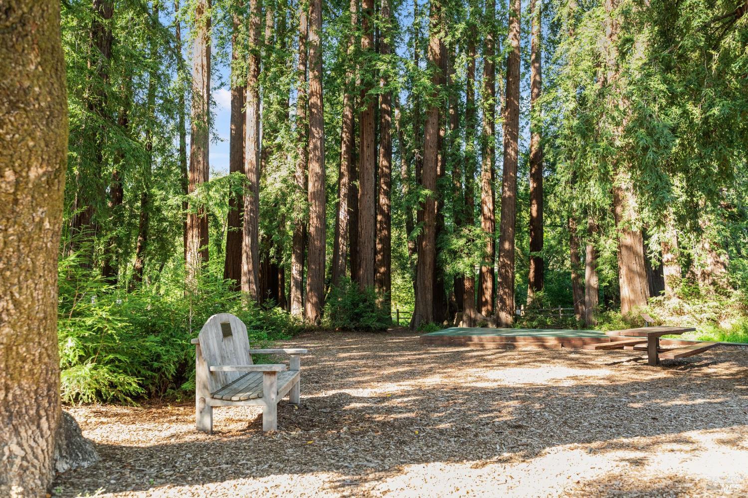 128 Madrone Road