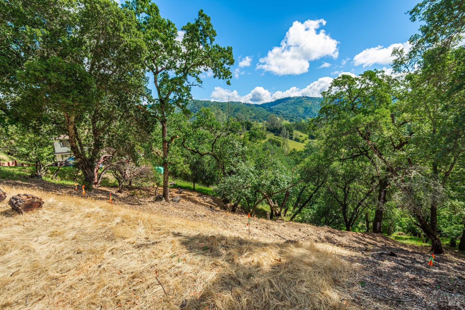 0 Sorrell Court Unit: #155