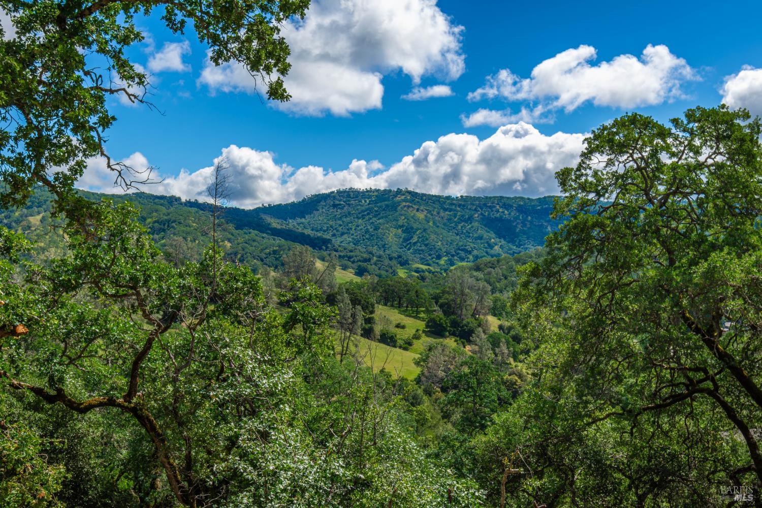 0 Sorrell Court Unit: #155