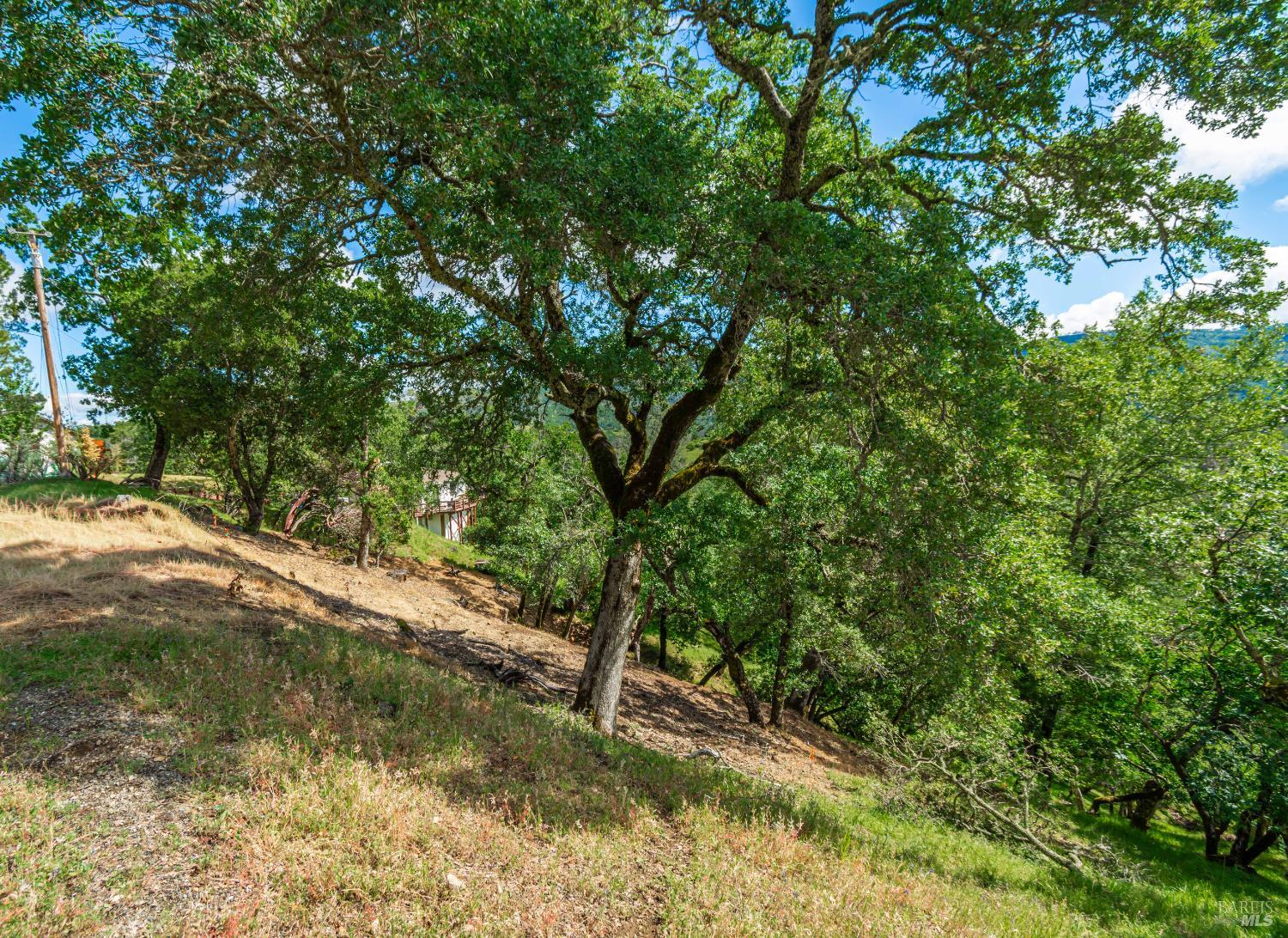 0 Sorrell Court Unit: #155