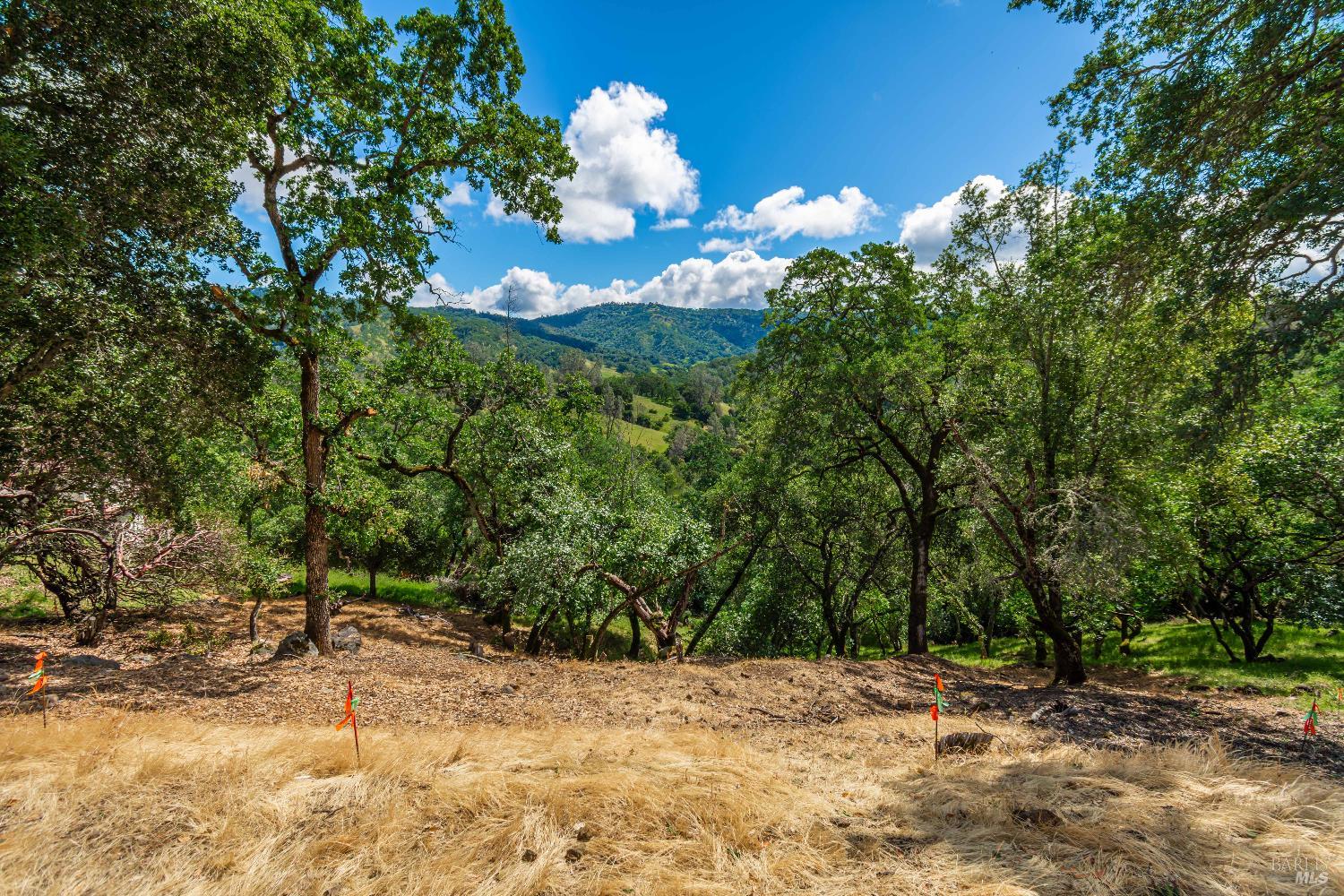 0 Sorrell Court Unit: #155